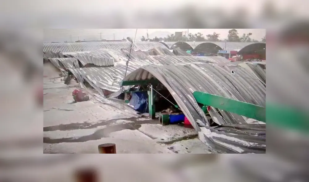 Colapsan techos en la Central de Abastos en Iztapalapa. Colapsan techos en la Central de Abastos en Iztapalapa.