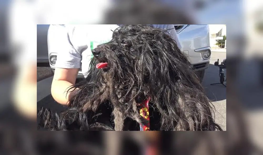 Desliza hacia la izquierda para ver las imágenes del viral de YouTube. Foto: Captura. Desliza hacia la izquierda para ver las imágenes del viral de YouTube. Foto: Captura.