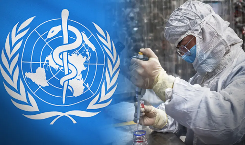 Solidarity OMS. Foto: Composición