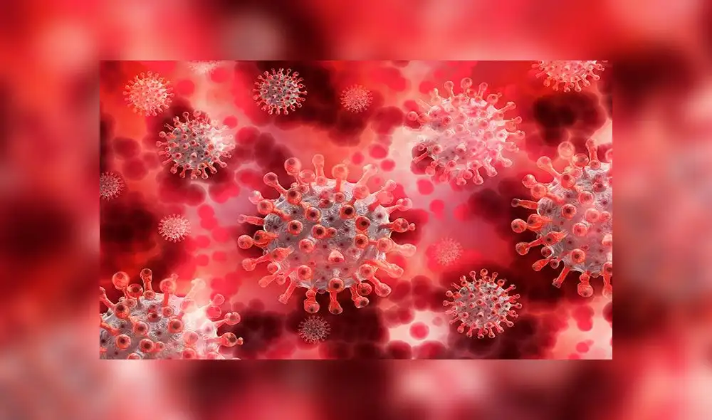 El coronavirus SARS-CoV-2 entra en las células humanas al unirse con la glicoproteína ACE2. Imagen: Pixabay