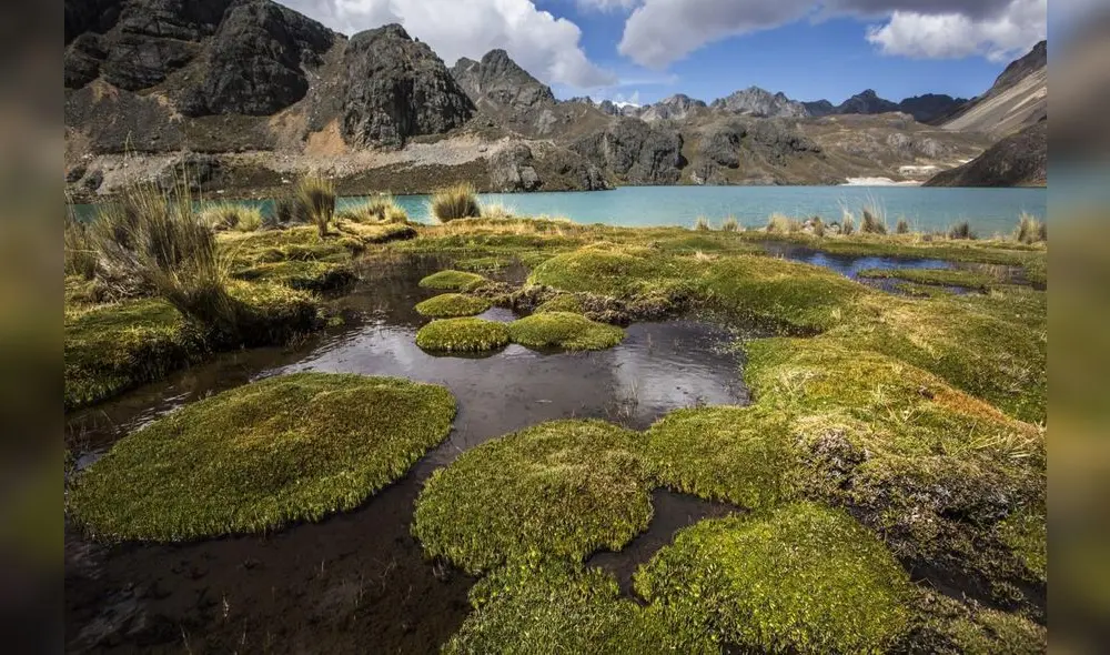Proyectos verdes, Sedapal