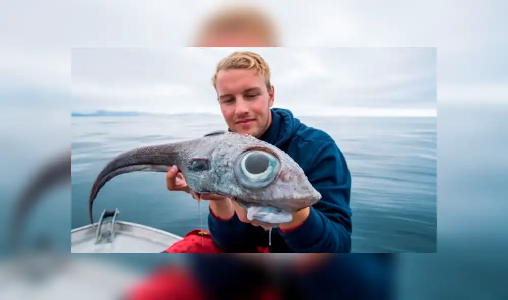 Desliza para ver los detalles de esta extraña criatura marina que se viralizó en YouTube. Foto: Captura. Desliza para ver los detalles de esta extraña criatura marina que se viralizó en YouTube. Foto: Captura.