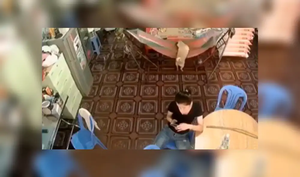 Desliza las imágenes para observar la travesura de un perro que fue registrado por unas cámaras de seguridad. Desliza las imágenes para observar la travesura de un perro que fue registrado por unas cámaras de seguridad.