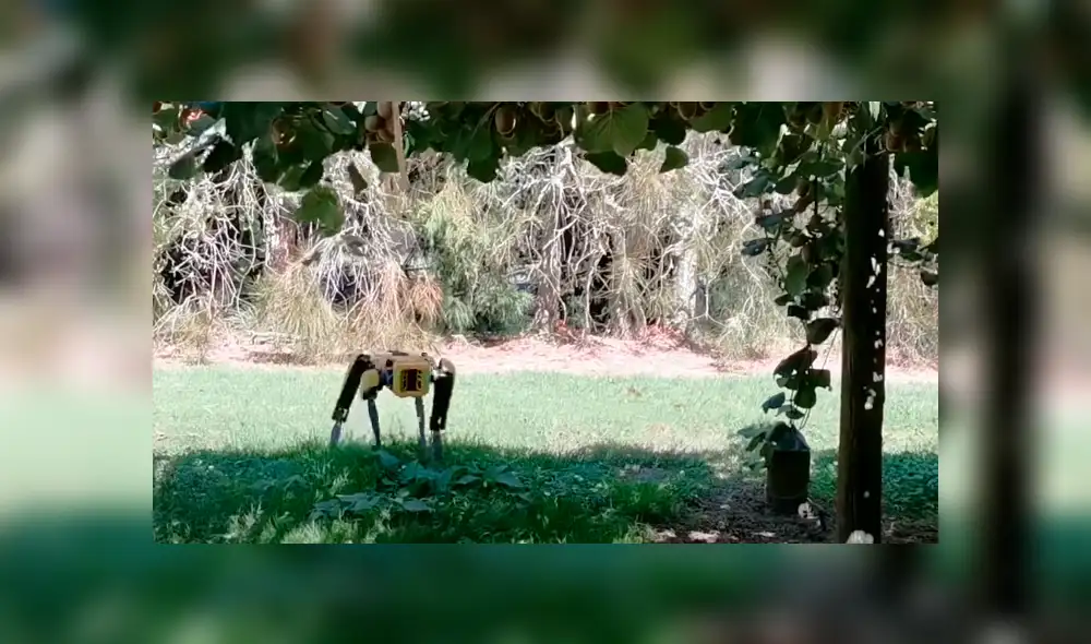 Desliza la imagen compartida en YouTube para verlas todas. (Foto: Rocos)