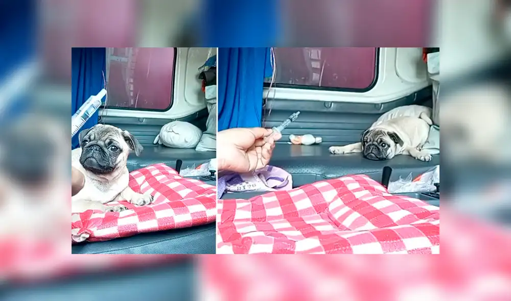 Desliza para ver los detalles del video viral publicado en Facebook. Foto: Captura.