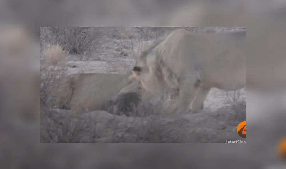 Desliza hacia la izquierda para ver las imágenes del viral de Facebook. Desliza hacia la izquierda para ver las imágenes del viral de Facebook.