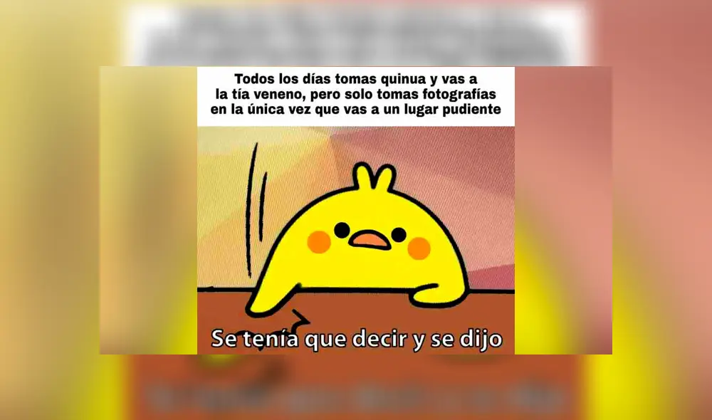 Facebook: 'se tenía que decir y se dijo', conoce el origen del meme del pollito [FOTOS] 