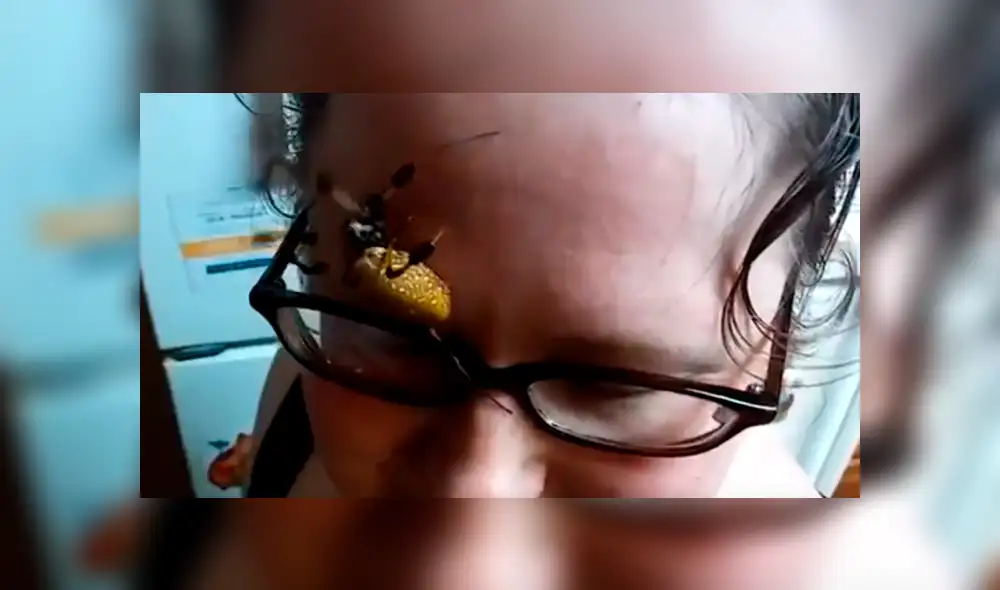 Facebook viral: retan para que joven coloque peligrosa araña en su rostro y sucede lo inesperado [VIDEO]