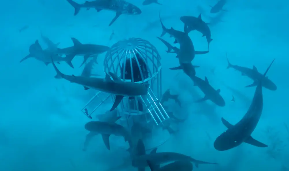 Mark Rober se sumergió en el mar para llevar a cabo su experimento. Foto: Captura/YouTube/Mark Rober Mark Rober se sumergió en el mar para llevar a cabo su experimento. Foto: Captura/YouTube/Mark Rober