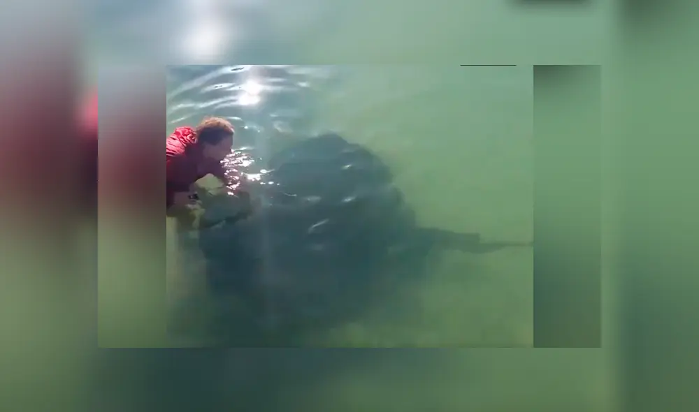 YouTube viral: chico ingresa a playa y se topa con gigantesca criatura marina [VIDEO] 