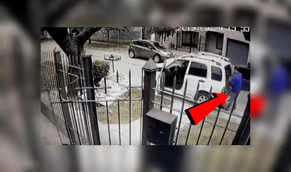 YouTube viral: Perros ven que su dueño es asaltado con pistola y lo rescatan valerosamente [VIDEO] 
