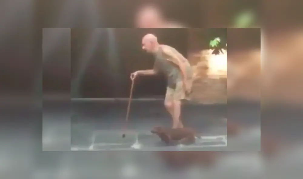 Vía Facebook. Niños captaron al anciano caminando junto a su perro por una calle y las emotivas imágenes han conmovido a cientos de internautas