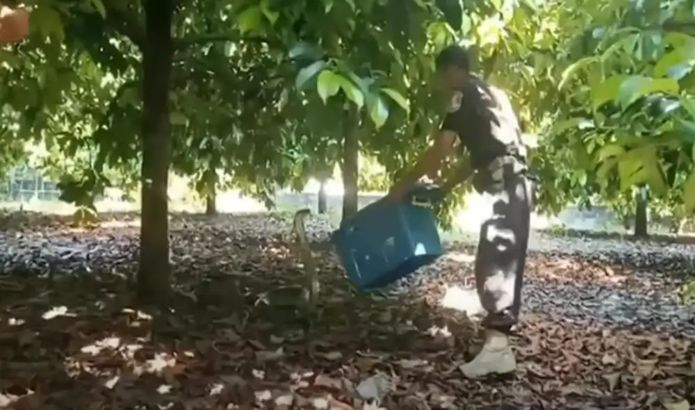 Desliza hacia la izquierda para ver las imágenes del video viral. Foto: Captura de YouTube Desliza hacia la izquierda para ver las imágenes del video viral. Foto: Captura de YouTube