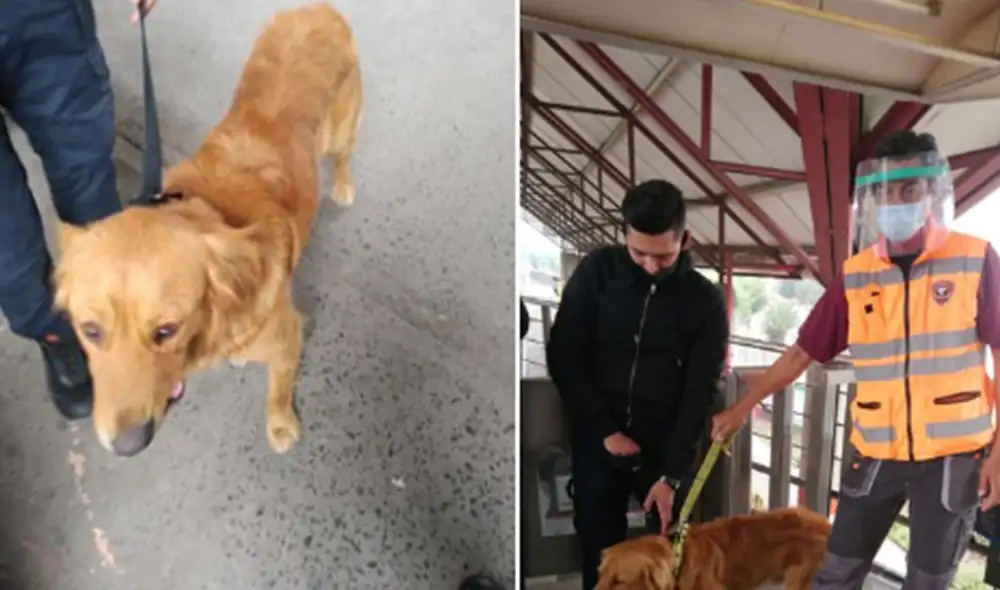 El can permaneció al lado de los agentes de seguridad y mostró toda su emoción al reencontrarse con su dueño. (Foto: captura de Twitter)