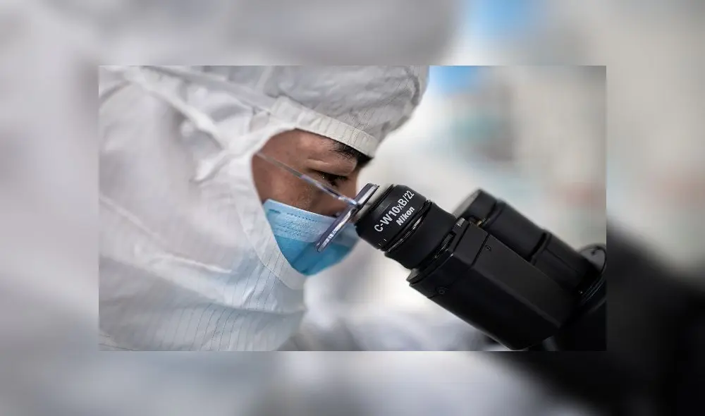 In this picture taken on April 29, 2020, an engineer looks through a microscope at monkey kidney cells as he checks tests on an experimental vaccine for the COVID-19 coronavirus inside the Cells Culture Room laboratory at the Sinovac Biotech facilities in Beijing. - Sinovac Biotech, which is conducting one of the four clinical trials that have been authorised in China, has claimed great progress in its research and promising results among monkeys. (Photo by NICOLAS ASFOURI / AFP) / TO GO WITH Health-virus-China-vaccine,FOCUS by Patrick Baert In this picture taken on April 29, 2020, an engineer looks through a microscope at monkey kidney cells as he checks tests on an experimental vaccine for the COVID-19 coronavirus inside the Cells Culture Room laboratory at the Sinovac Biotech facilities in Beijing. - Sinovac Biotech, which is conducting one of the four clinical trials that have been authorised in China, has claimed great progress in its research and promising results among monkeys. (Photo by NICOLAS ASFOURI / AFP) / TO GO WITH Health-virus-China-vaccine,FOCUS by Patrick Baert