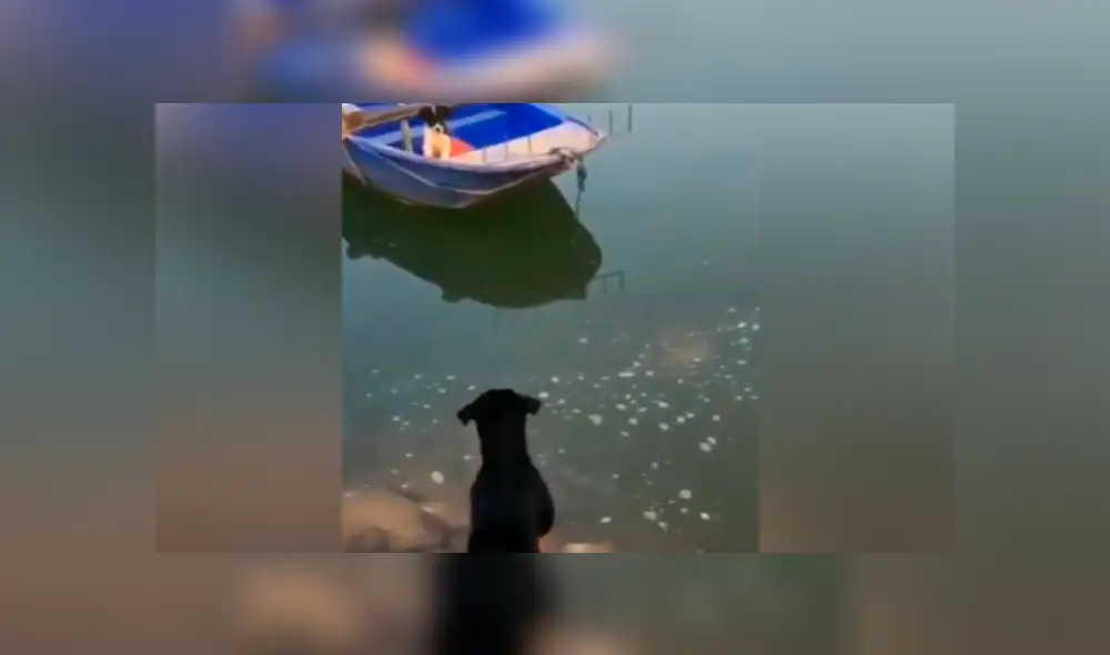 Desliza para ver los momentos más emotivos del video que se hizo viral en Facebook.