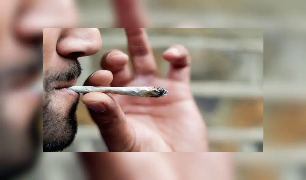 Para uso médico la marihuana es legal desde 2016. Foto: difusión