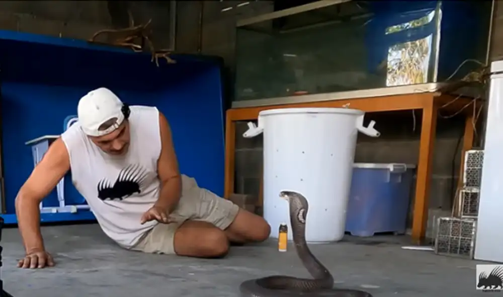 Desliza hacia la izquierda para ver las imágenes del video viral. Foto: captura de YouTube. Desliza hacia la izquierda para ver las imágenes del video viral. Foto: captura de YouTube.