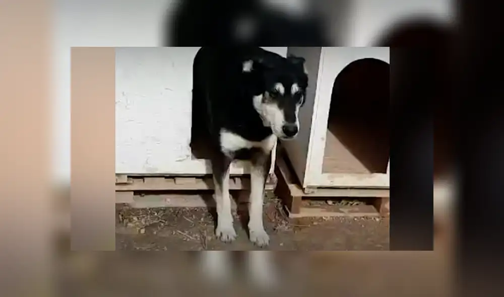 Desliza hacia la izquierda para ver las conmovedoras imágenes del viral de Facebook. Desliza hacia la izquierda para ver las conmovedoras imágenes del viral de Facebook.