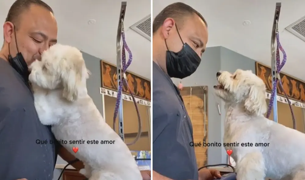 La tierna conducta del can logró conmover a miles de usuarios en las redes sociales. Foto: captura de TikTok