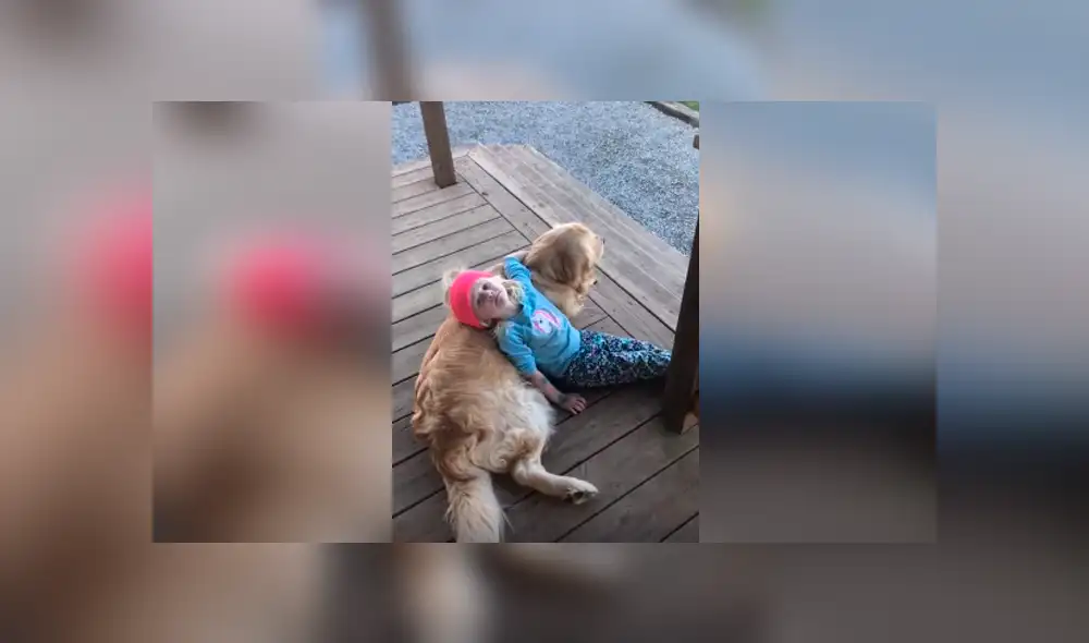 Desliza las imágenes para observar la sentimental escena protagonizada por una niña junto a su perro. Desliza las imágenes para observar la sentimental escena protagonizada por una niña junto a su perro.