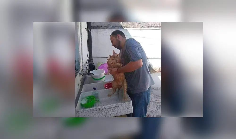 Desliza para ver el desenlace de esta historia de Facebook. Foto: Captura. Desliza para ver el desenlace de esta historia de Facebook. Foto: Captura.