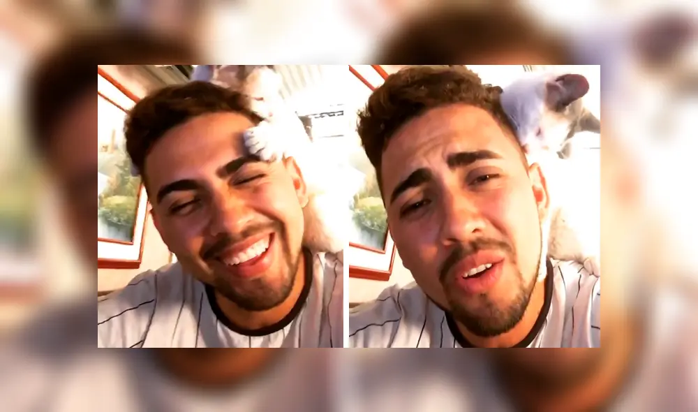 En Facebook, un gato se subió encima de su dueño cuando lo escuchó interpretar una popular canción. En Facebook, un gato se subió encima de su dueño cuando lo escuchó interpretar una popular canción.