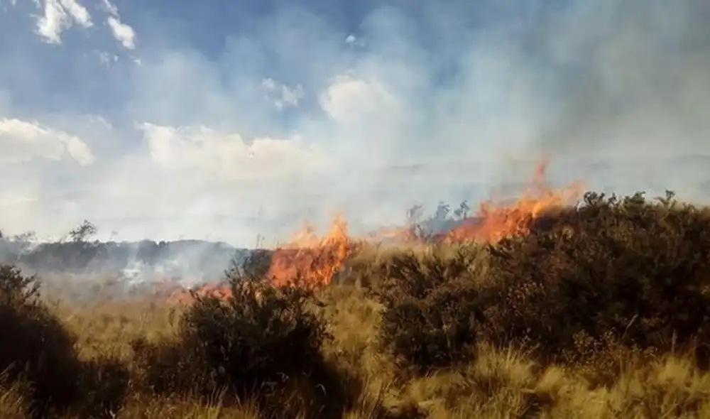 En total se registran 127 incendios forestales. En total se registran 127 incendios forestales.