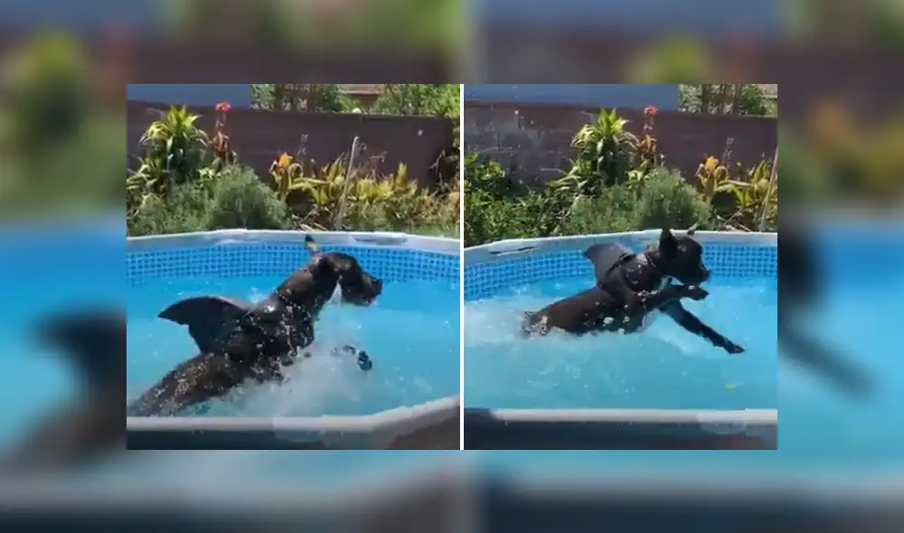 Desliza hacia la izquierda para ver las imágenes del viral de Facebook. Foto: Captura.