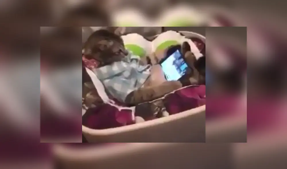 Desliza las imágenes para ver más detalles sobre esta cómica escena que es viral en Facebook. Desliza las imágenes para ver más detalles sobre esta cómica escena que es viral en Facebook.