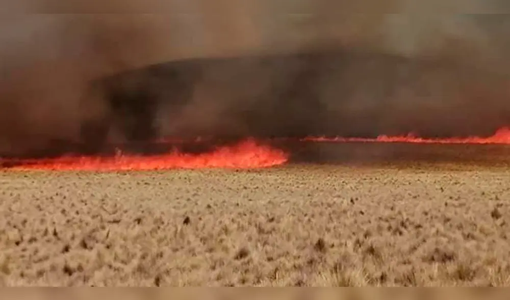El siniestro se originó al mediodía y fue controlado al promediar las 21:00 horas. El siniestro se originó al mediodía y fue controlado al promediar las 21:00 horas.