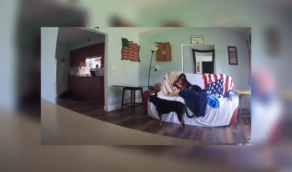 Desliza hacia la izquierda para ver las imágenes del viral de YouTube. Foto: Captura.