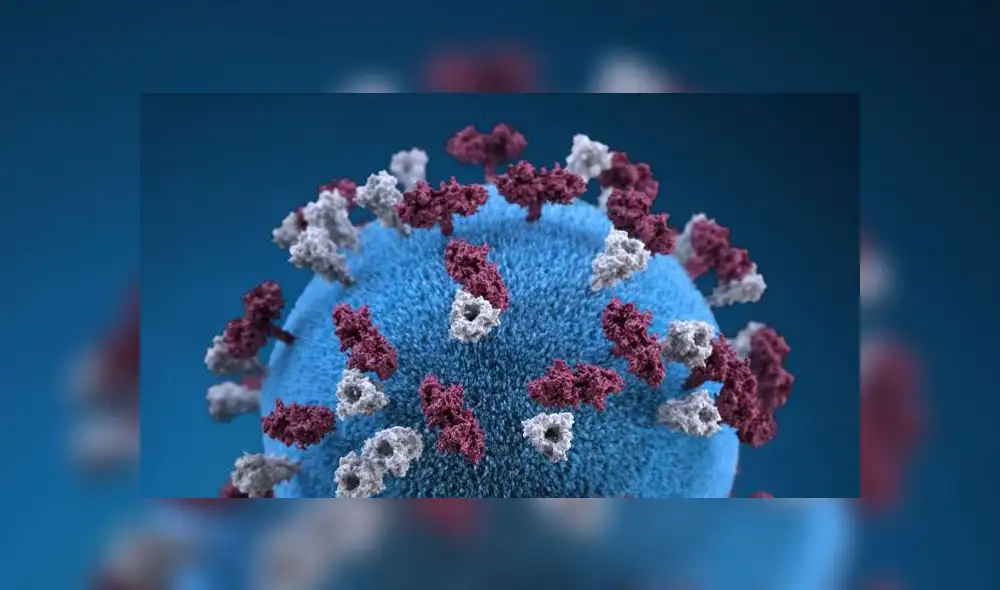 El virus de la sarampión es uno de los más perniciosos para la salud humana.