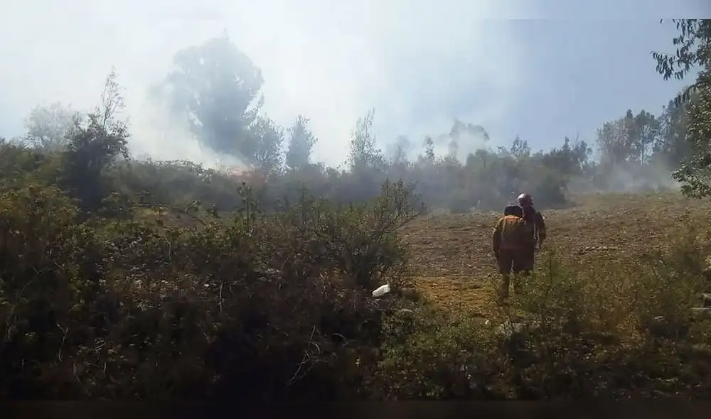 Áncash: incendio arrasa 10 hectáreas de plantaciones en menos de 24 horas 
