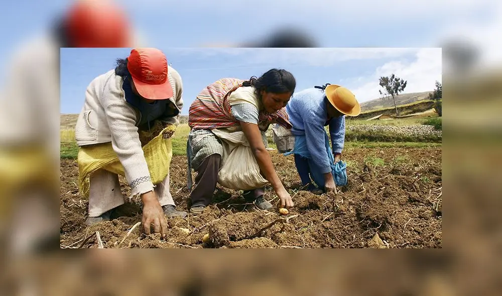 Agricultores Agricultores