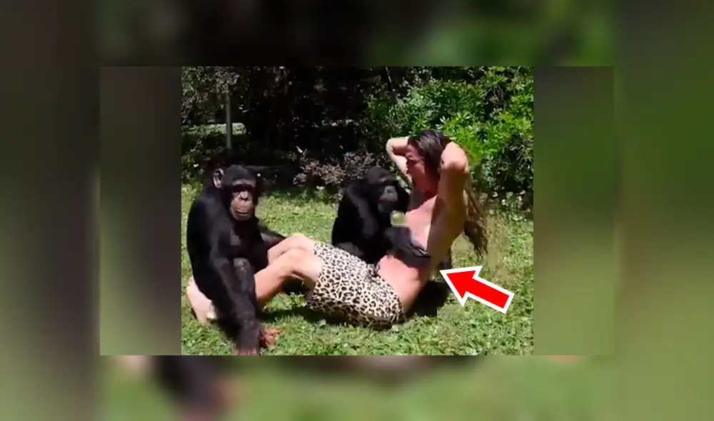 YouTube viral: monos someten a chico a duro entrenamiento y lo amenazan con radical técnica [VIDEO] 