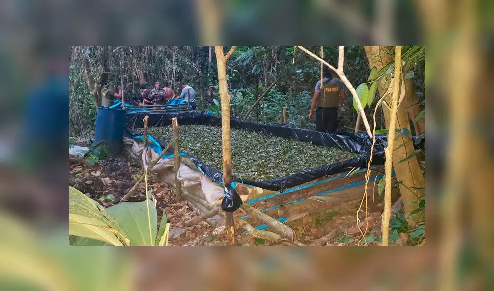 Agentes policiales capturaron a cuatro sicarios que cuidaban narcolaboratorio. Créditos: Difusión. Agentes policiales capturaron a cuatro sicarios que cuidaban narcolaboratorio. Créditos: Difusión.