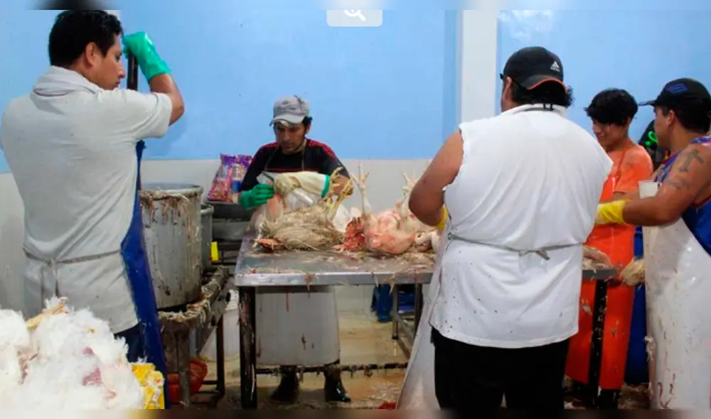 La Hermelinda. Personal de Fiscalización clausuró peladores de pollos.