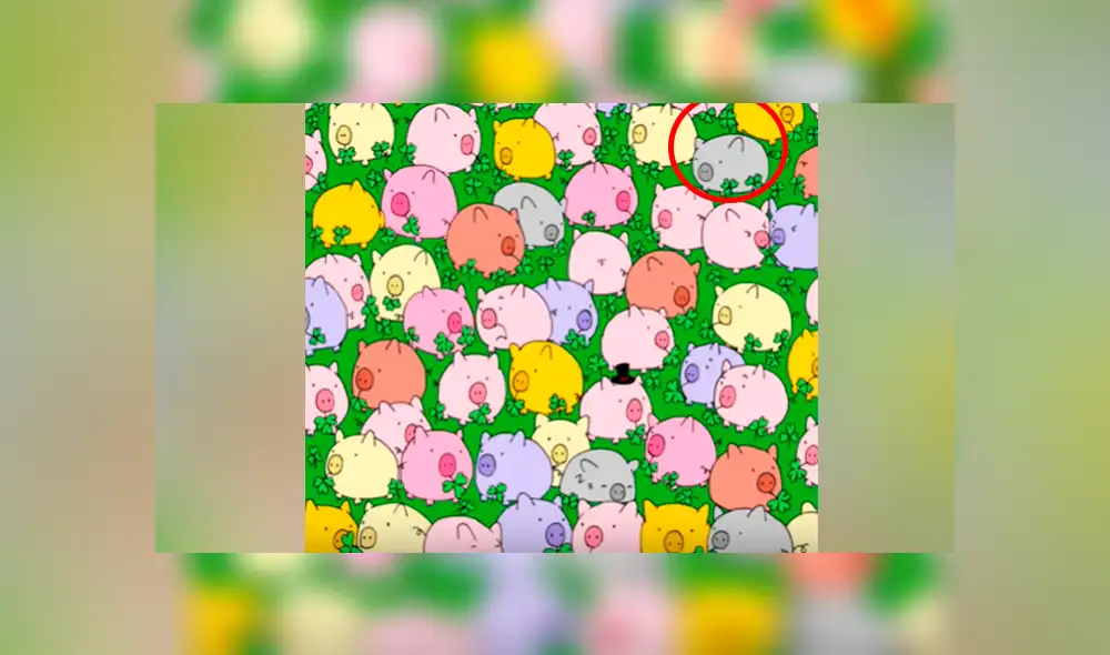 Facebook viral: encuentra al trébol de cuatro hojas entre los cerditos, el reto visual que muy pocos pueden resolver Facebook viral: encuentra al trébol de cuatro hojas entre los cerditos, el reto visual que muy pocos pueden resolver