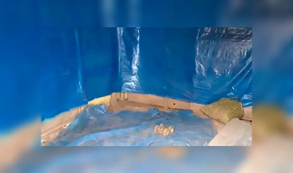 Niño de 7 años fue víctima de violencia física por parte de su progenitora. Foto: Captura Niño de 7 años fue víctima de violencia física por parte de su progenitora. Foto: Captura