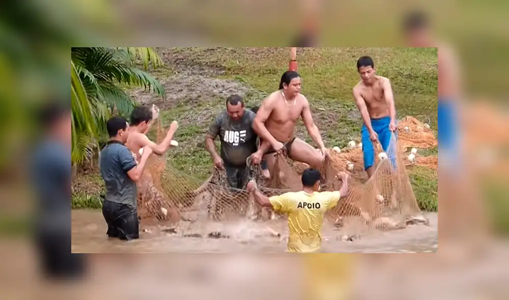 YouTube viral: Entran a pescar y quedan en shock al ver extrañas criaturas en su red [VIDEO]