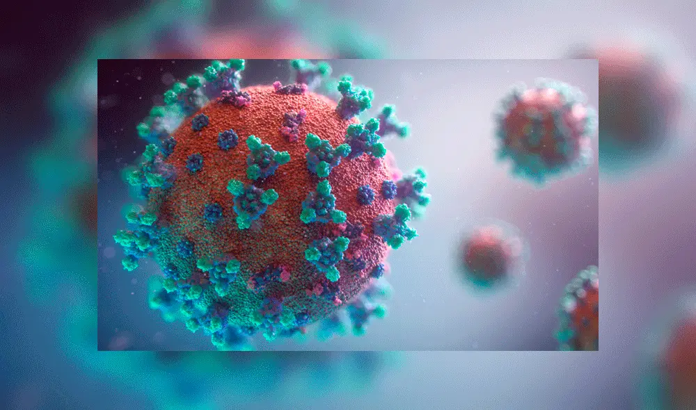 Representación 3D del coronavirus COVID-19. Crédito: Fusion Animation.