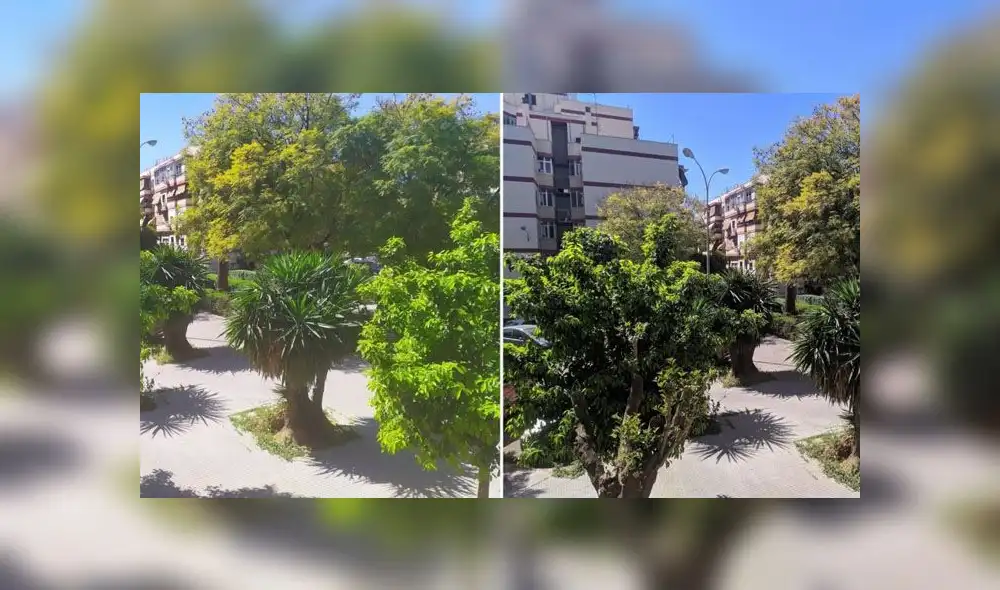 Xiaomi: con esta app puedes mejorar las fotos