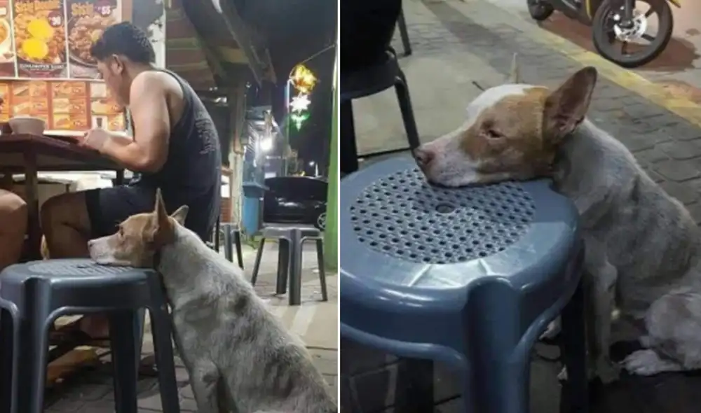 Desliza para ver más detalles sobre esta conmovedora escena que logró tocar el corazón de miles de personas. (Foto: captura / Twitter)