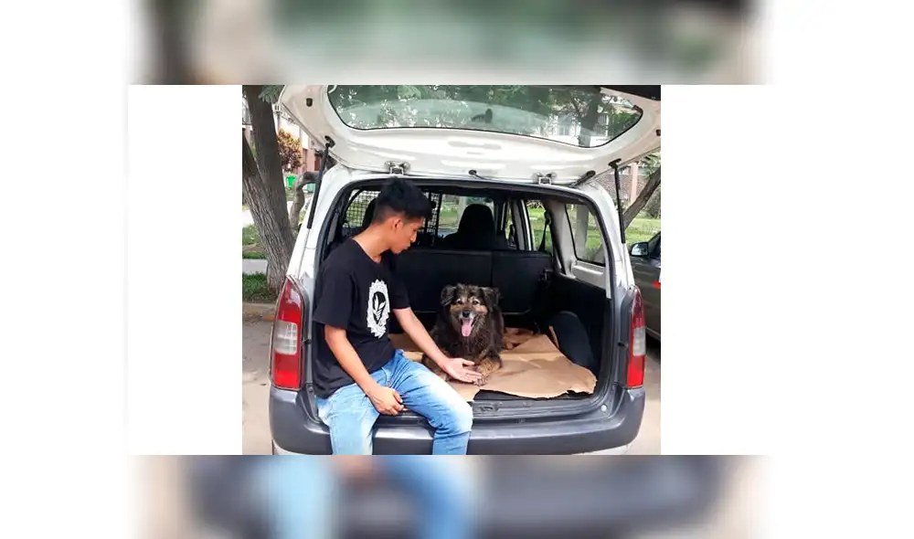 Facebook: estudiantes de la UNMSM intentan salvar a 'Perrovaca’ lanzando campaña [FOTOS]