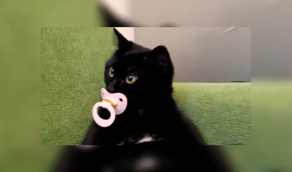 Desliza para ver el comportamiento que ha conmovido a los usuario de YouTube. Foto: Captura.