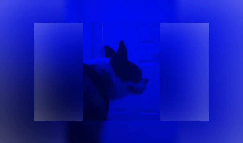 Desliza las imágenes para ver más detalles de esta tierna escena que ya es viral en Facebook.