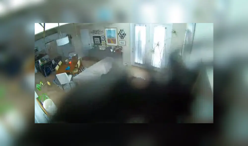 Desliza hacia la izquierda para descubrir al extraño ser que invadió la casa de una señora. El video es viral en YouTube.