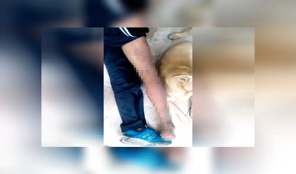 Acusan a serenos de San Miguel de quemar a reciclador [VIDEO]