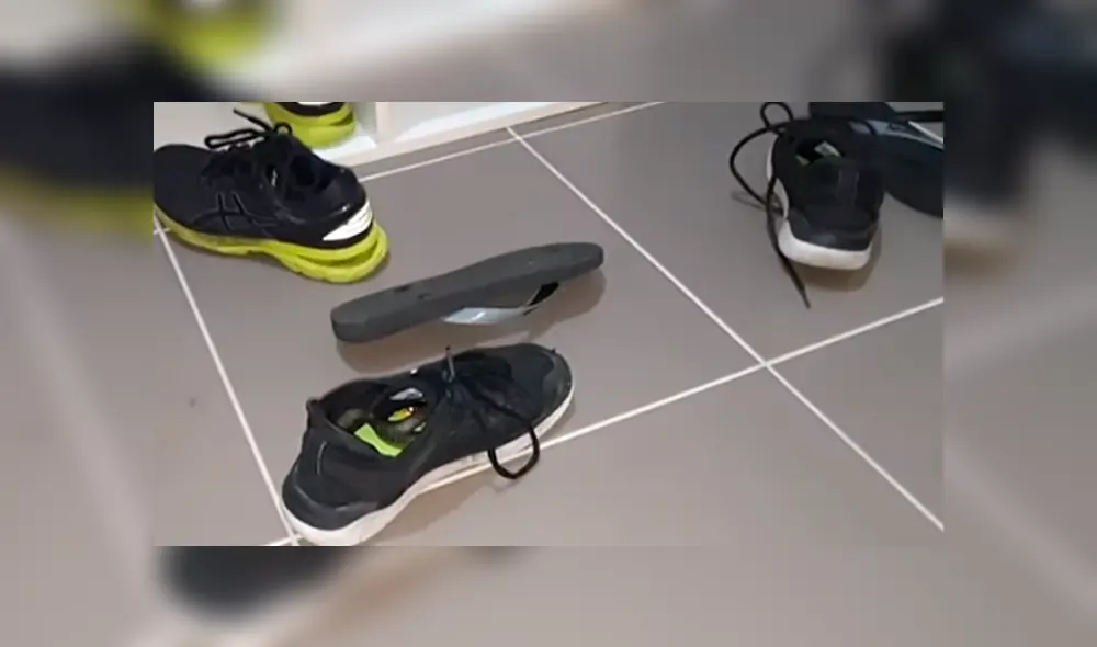 Desliza hacia la izquierda para ver al reptil que aparece en el video viral de YouTube.